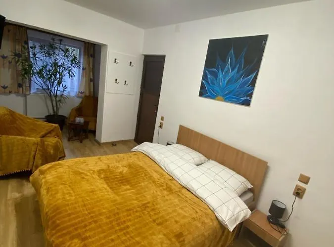 Casa Felice Pensión Braşov